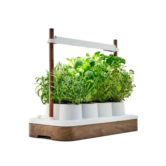 Potager connecté AZPE