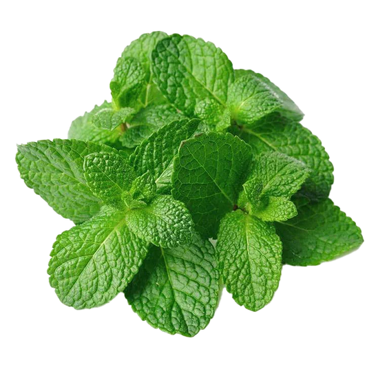 Feuilles de menthe