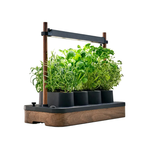 Potager connecté M LEX