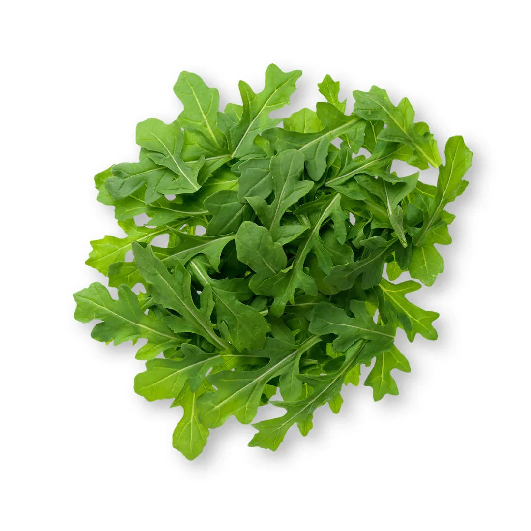 Roquette