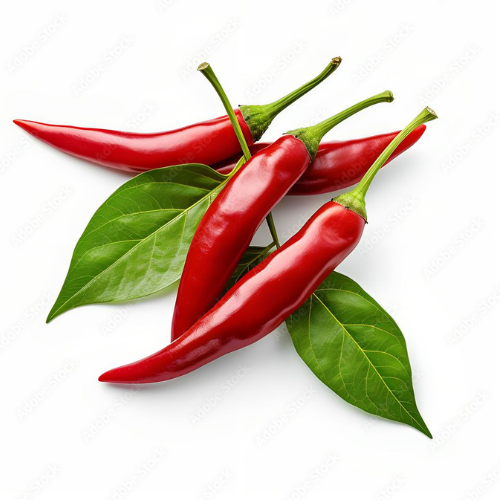 Capsule Piment Rouge – Cultive